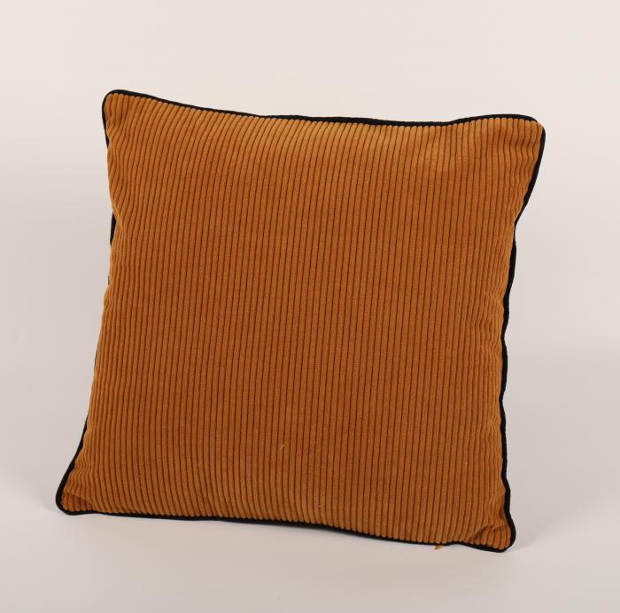 Velvet Cushion